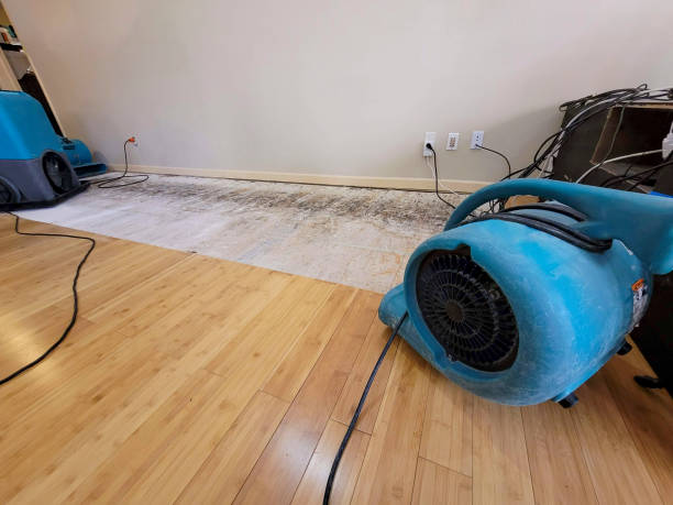 Professional Sewage Cleanup technician working in Highlands, TX